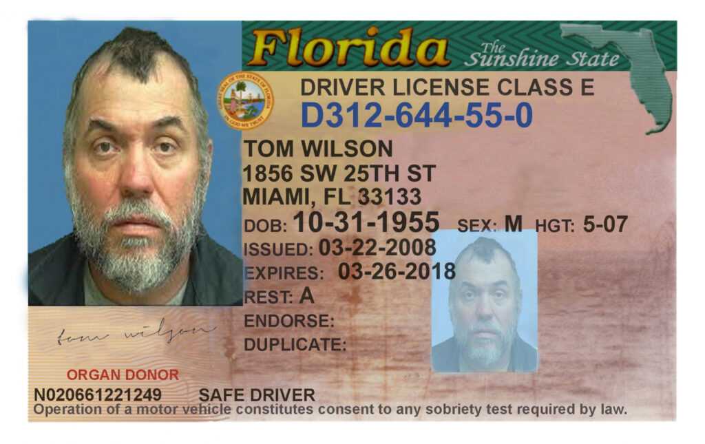 Tom+Wilson+Florida+Driving+License (1600×1007) | Id Card intended for Florida Id Card Template